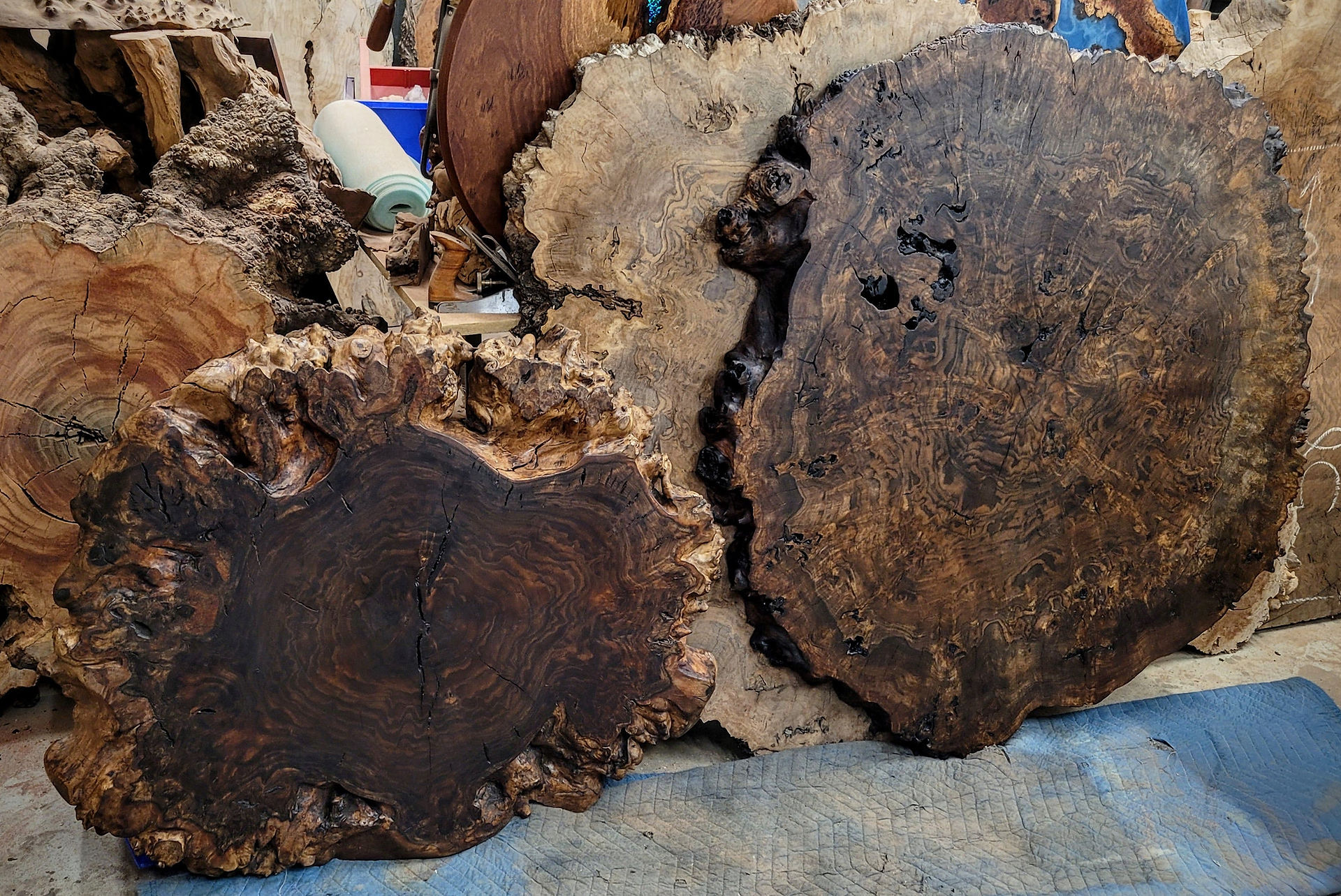 organic wood tree ring wall art