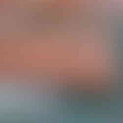 hovr float shelf cleats for live edge wood shelves