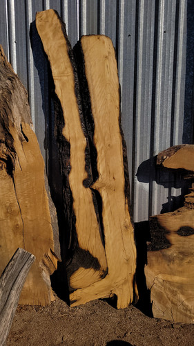 AZ Alligator Juniper Wildfire Live Edge Wood Slab 22x86