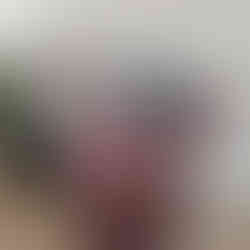 purpleheart wood and chrome bar cart