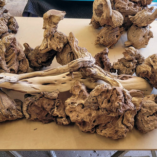 raw burl root driftwood manzanita