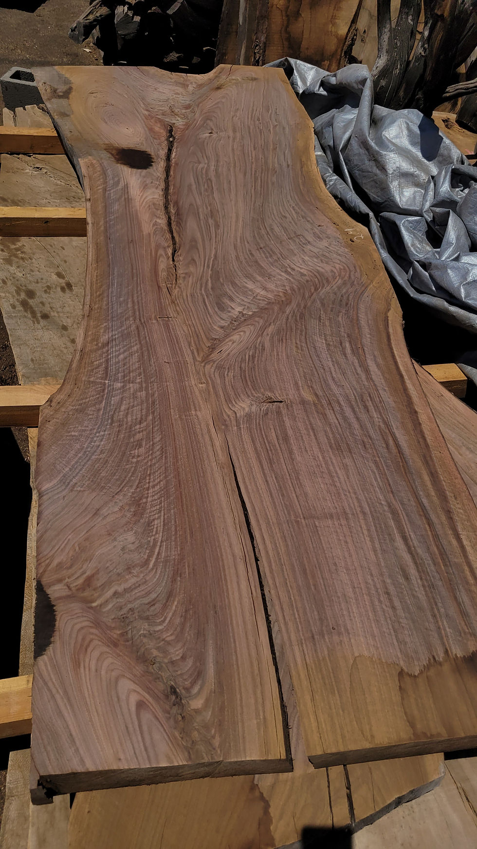 Thumbnail: curly black walnut wide plank hardwood slab