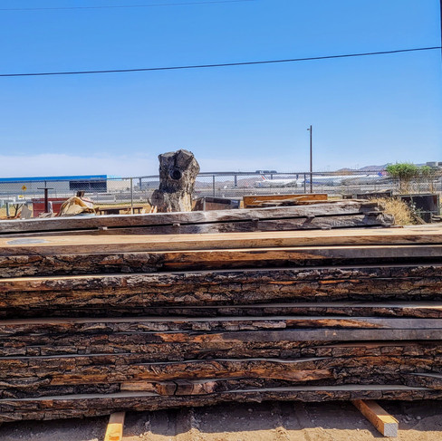 4x12ft live edge walnut slabs at WGB sawmill by Skyharbor