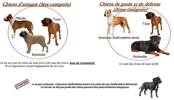 Eval Comport Veterinairecolombey