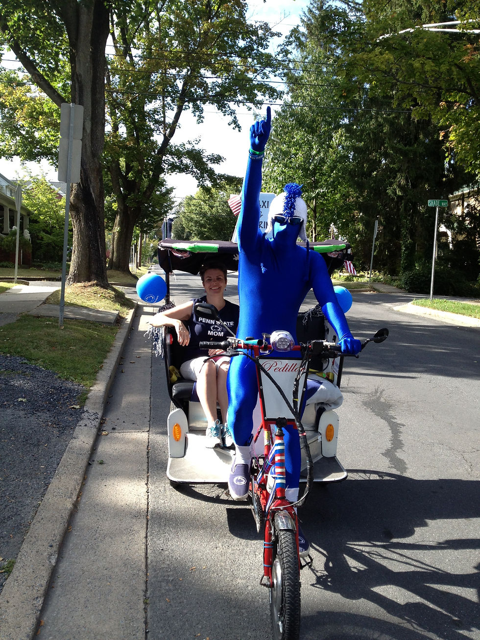 Vamos! Lion Chariot Tours