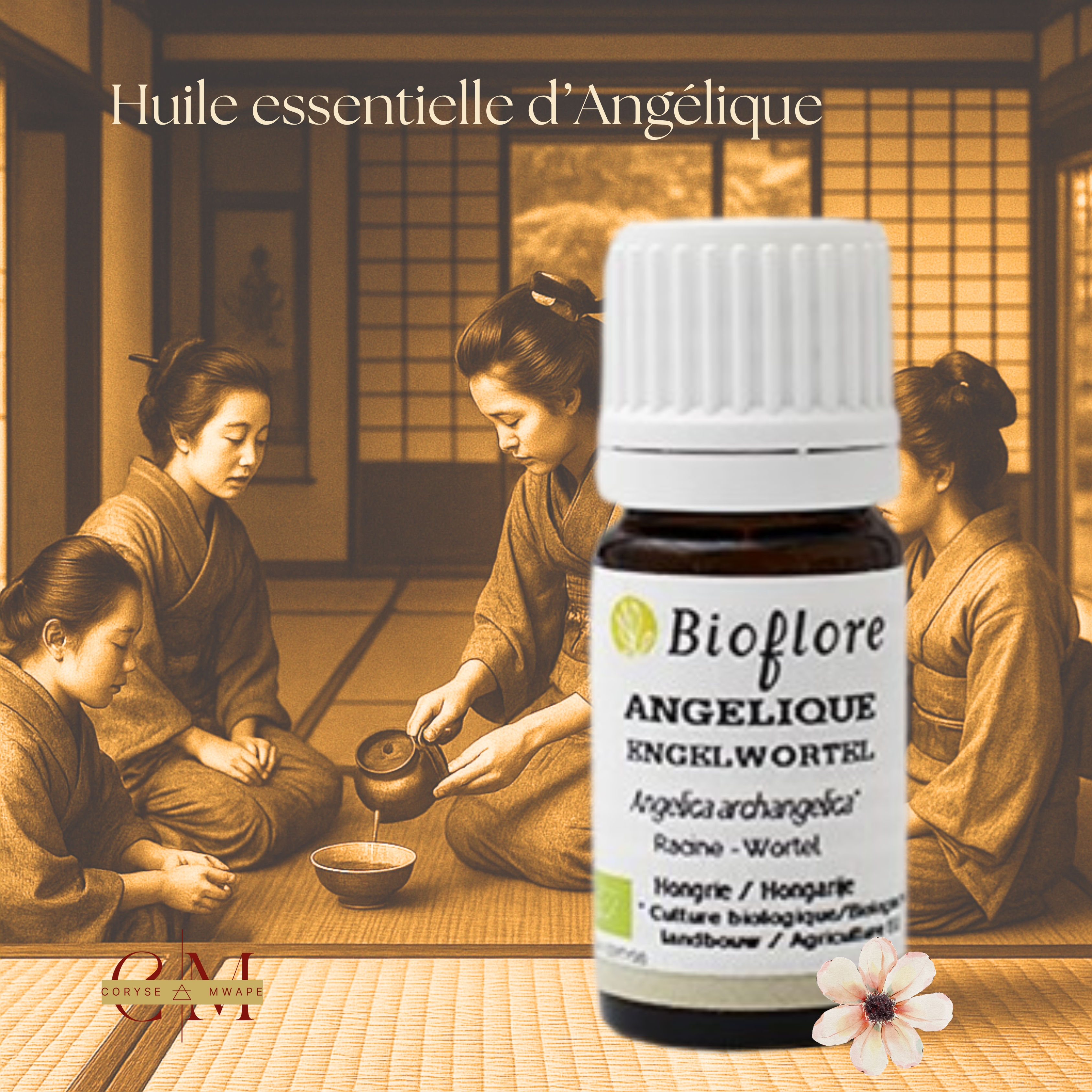 Huile essentielle d'Angélique - BioFlore