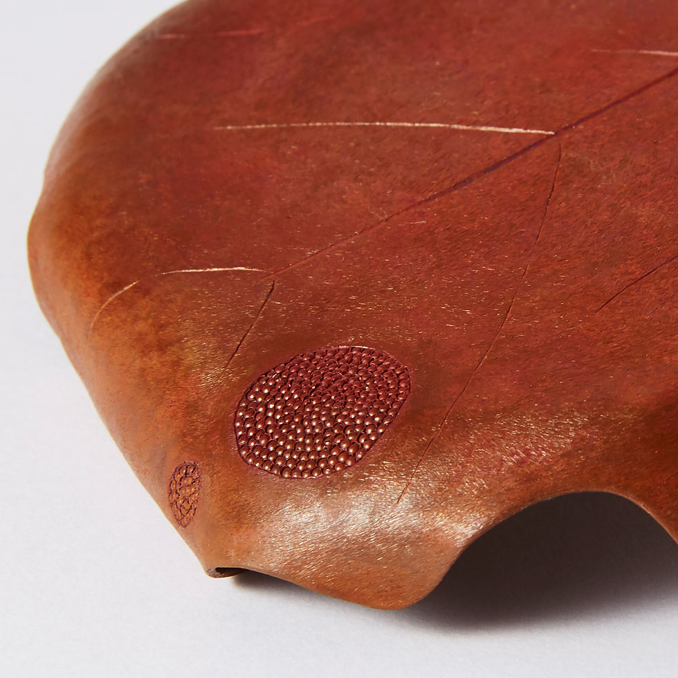 Tsukasa 『司』(detail)