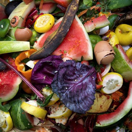 Yaşasın Yemek Yemek!