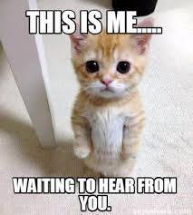 waiting to hear from you.jpeg