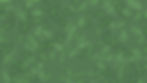 leaves bg2.jpg