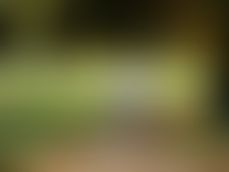 Give the Gift of Health for the Senior on Your List