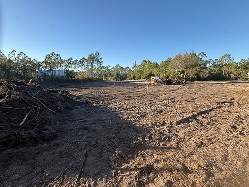 land clearing cape san blas florida