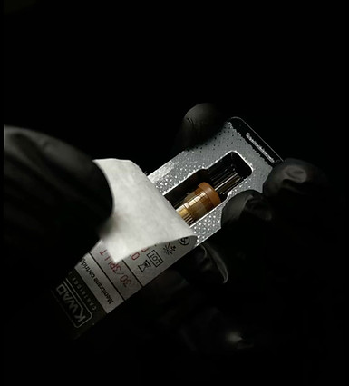 IMG_8731_edited.jpg
