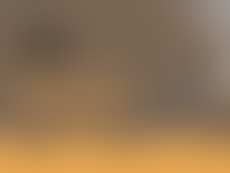 The Mudito Safety Spine