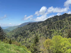 View of Great Smoky Mountains National Park