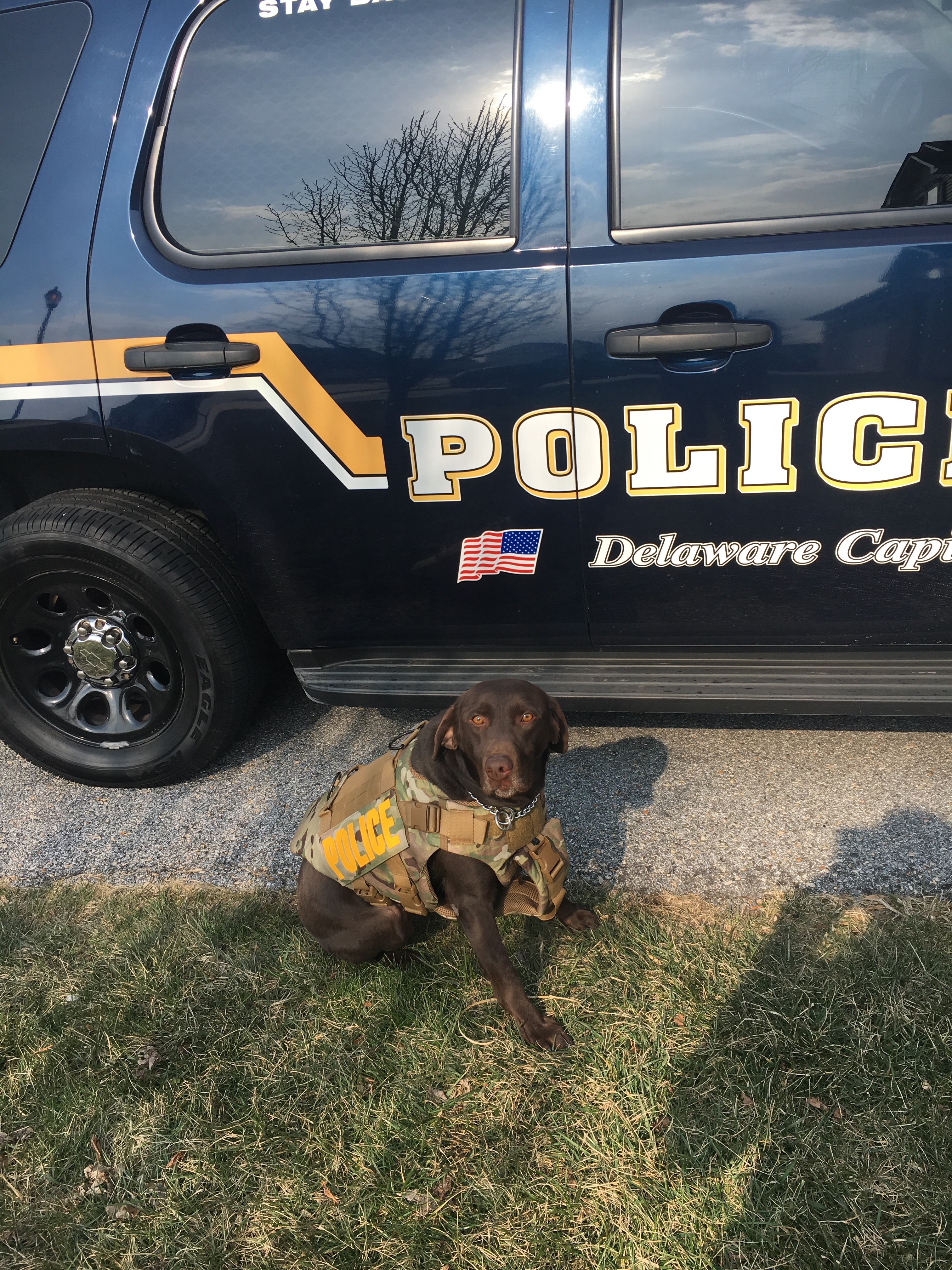 K9Ben