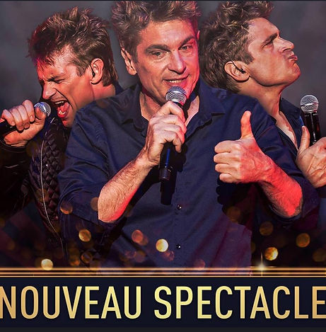 Didier Gustin imitateur
