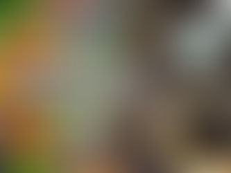 Compostar es crear suelo