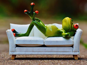 Playful frog relaxing on a couch, symbolizing the stress relief of HOCATT in Tasmania at LeWina Oxygen Clinic with medical-grade oxygen.