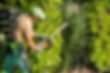 Hedge-cutting