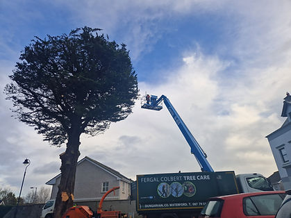 Tree Reductions