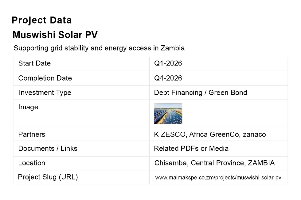 Project Data Muswishi Solar PV copy.png