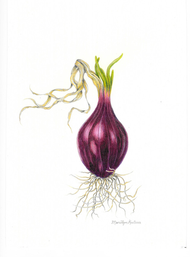 Drawing - 1st Place