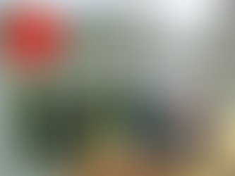 Not just the conical hats, but fascinating beach resorts and Unesco sites!