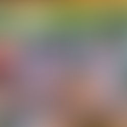 Goa in 2004 --ICICI PRU Group