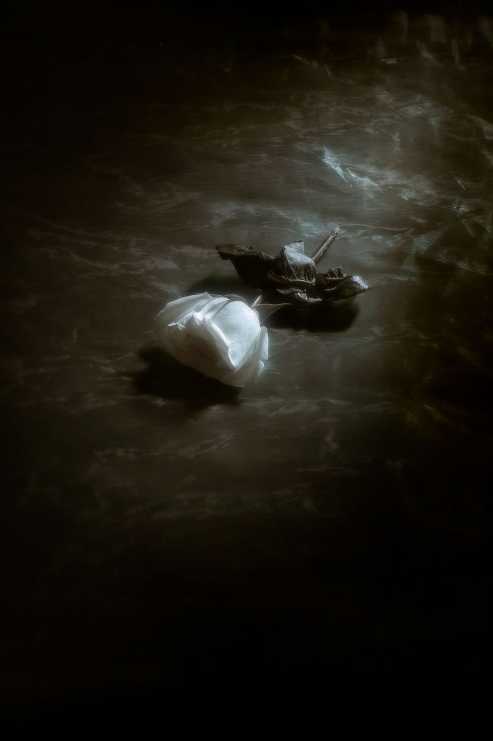 Capture00013_1