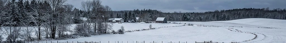 winter in a field view .jpg