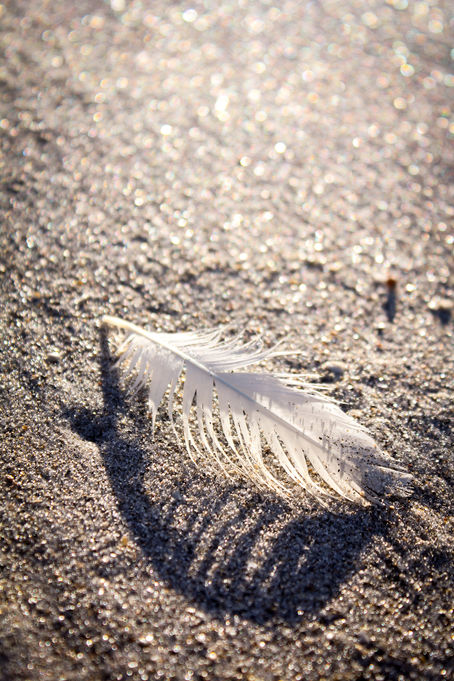 Movement