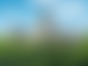 ¿Un castillo por U$S1?