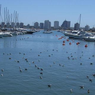 Punta del Este fue presentado como modelo de gestión turística