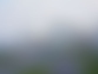 Posibilidades que se están analizando para reactivar el turismo en Uruguay.