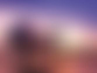 Aerolíneas anticipan una temporada con buen movimiento