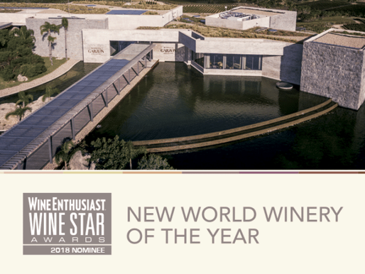 Bodega Garzón, la mejor del nuevo mundo