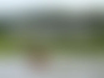 Poseidon postal de Punta del Este