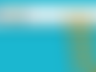 Te puedo garantizar la primera posición en Google