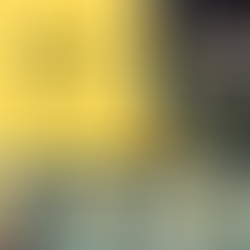 Lanzamiento del libro "El AVC del Marketing Digital"