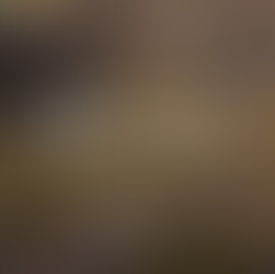 Estuvimos en el Festival Música de la Tierra