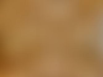 Cumple 100 años el único palacio francés abierto al público