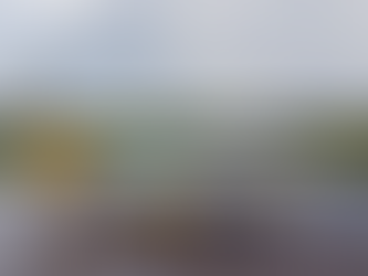 Flybondi comienza a volar a Punta del Este