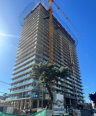 WhatsApp Image 2025-08-20 at 11.13.07 AM.jpeg