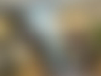 Uruguay se propone volver a atraer grandes inversores hoteleros