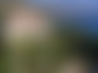 Les Cèdres, construida en 1830 se ha puesto a la venta