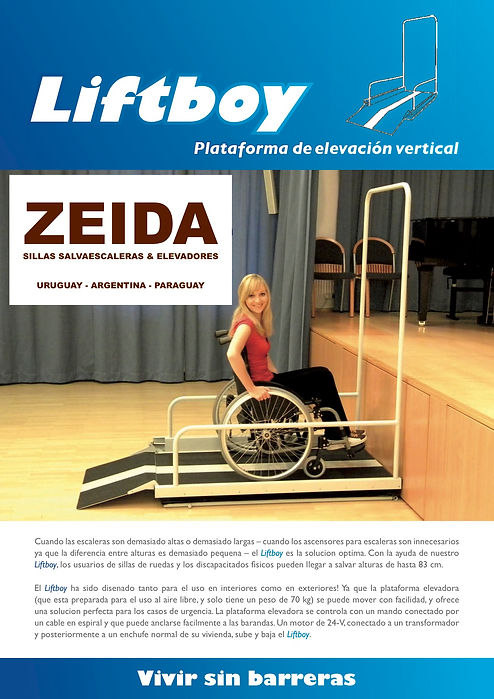 Especialista en accesibilidad