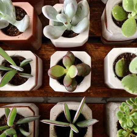 industrial wedding inspiration, weding plants hire, leeds succulents