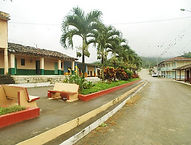 AVENIDA.jpg