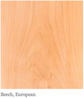 beech_eur.png